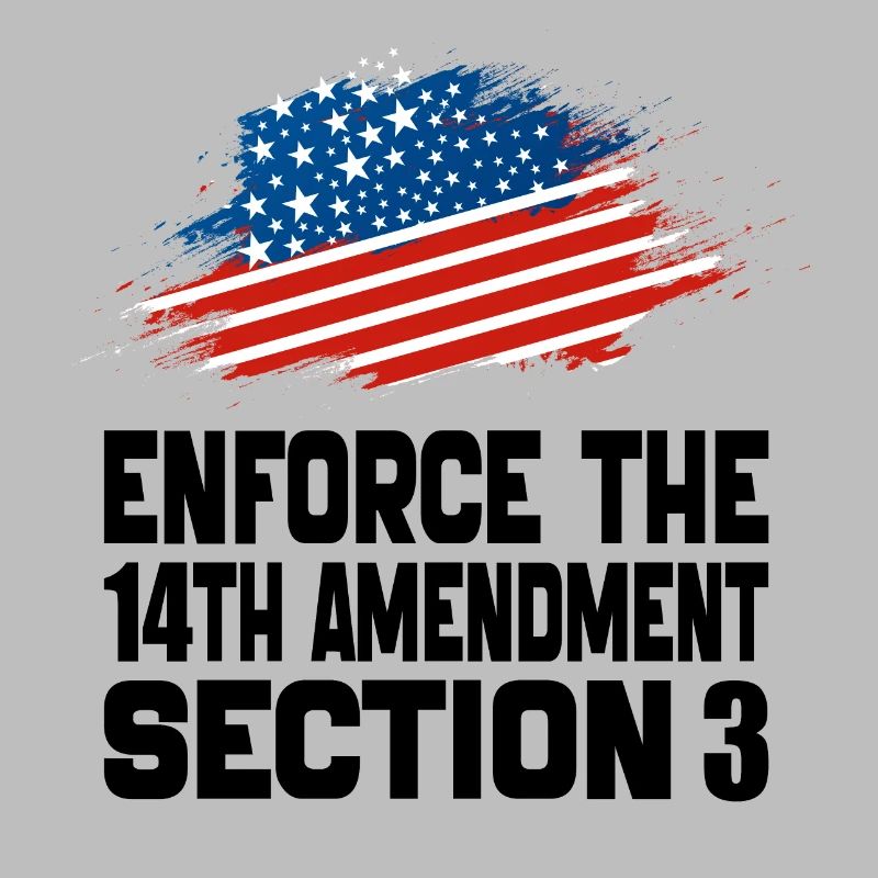 Enforce The 14TH Amendment Section 3