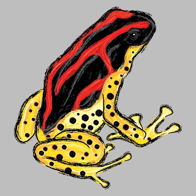 Baumsteigerfrosch Pfeilgiftfrosch PoisonDartFrog 7