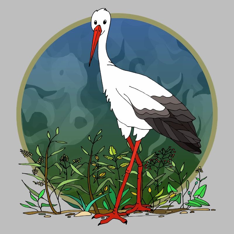 Stork bird