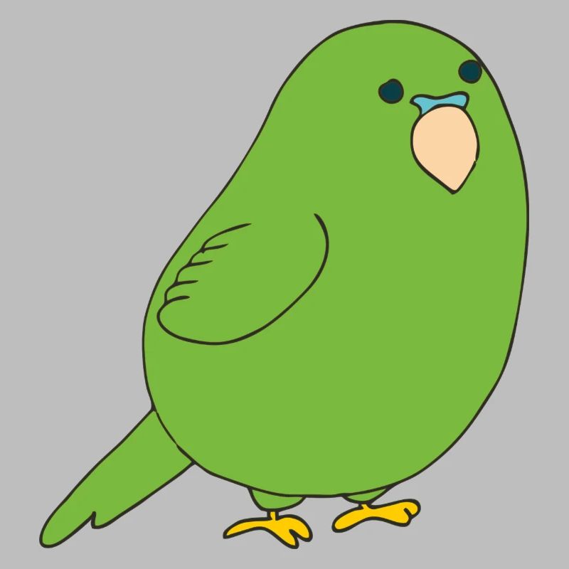budgerigar