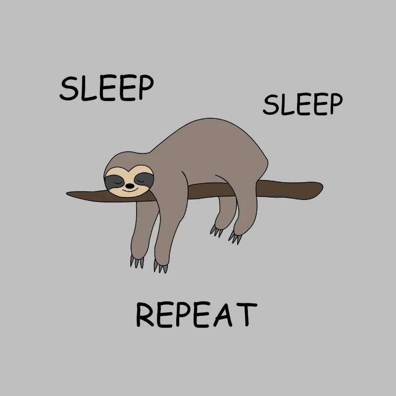 Sloth sleeping