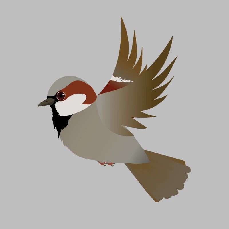 Flying house sparrow