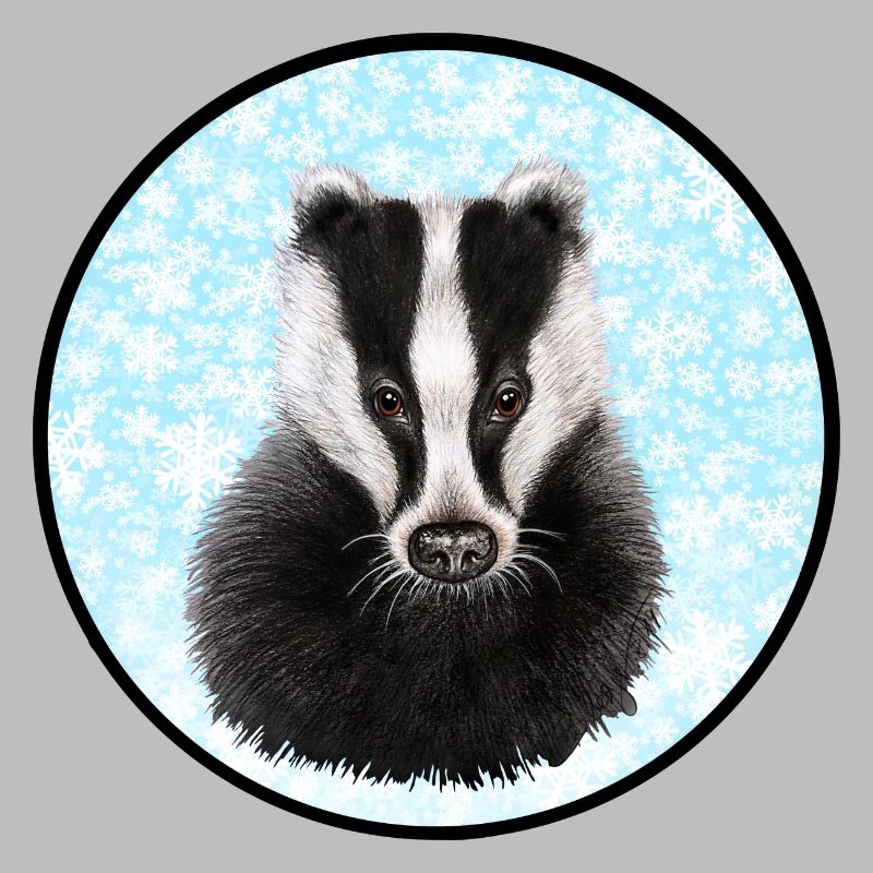 Badger/Badger in the snow