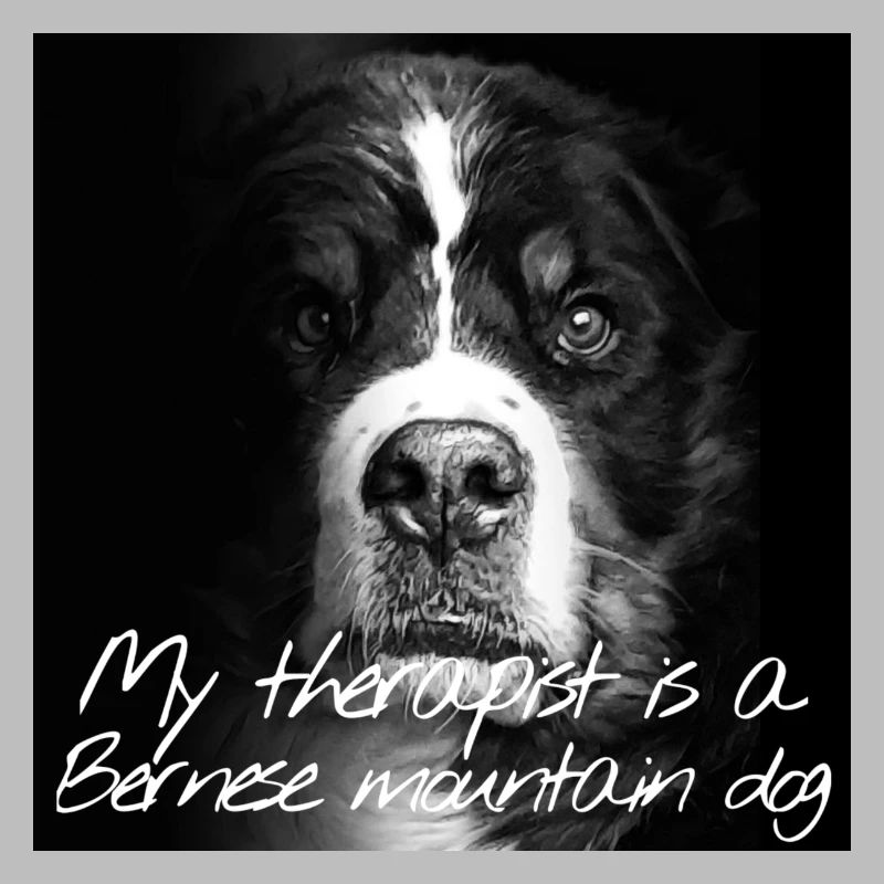 Bernese Mountain Dog