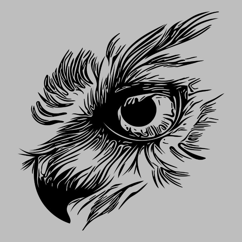 Bec de hibou - Owl Eye