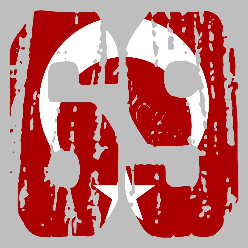 Bayburt 69 used