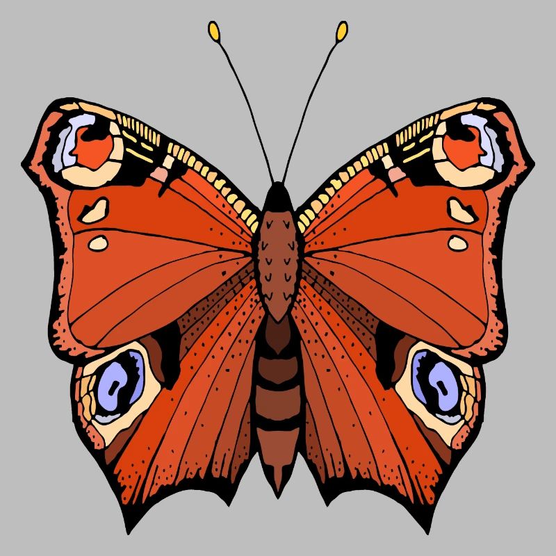 Papillon