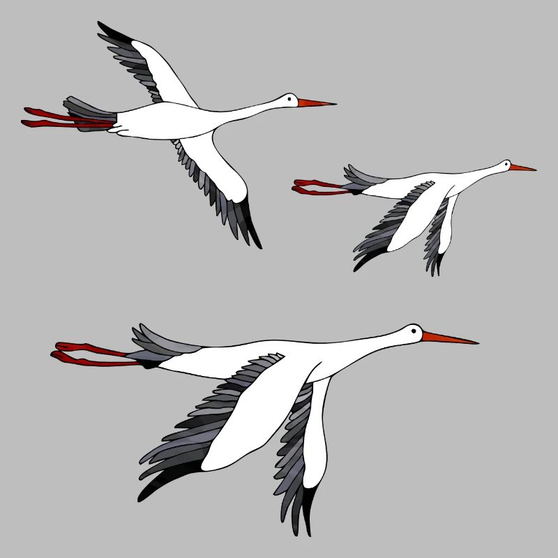 Storks