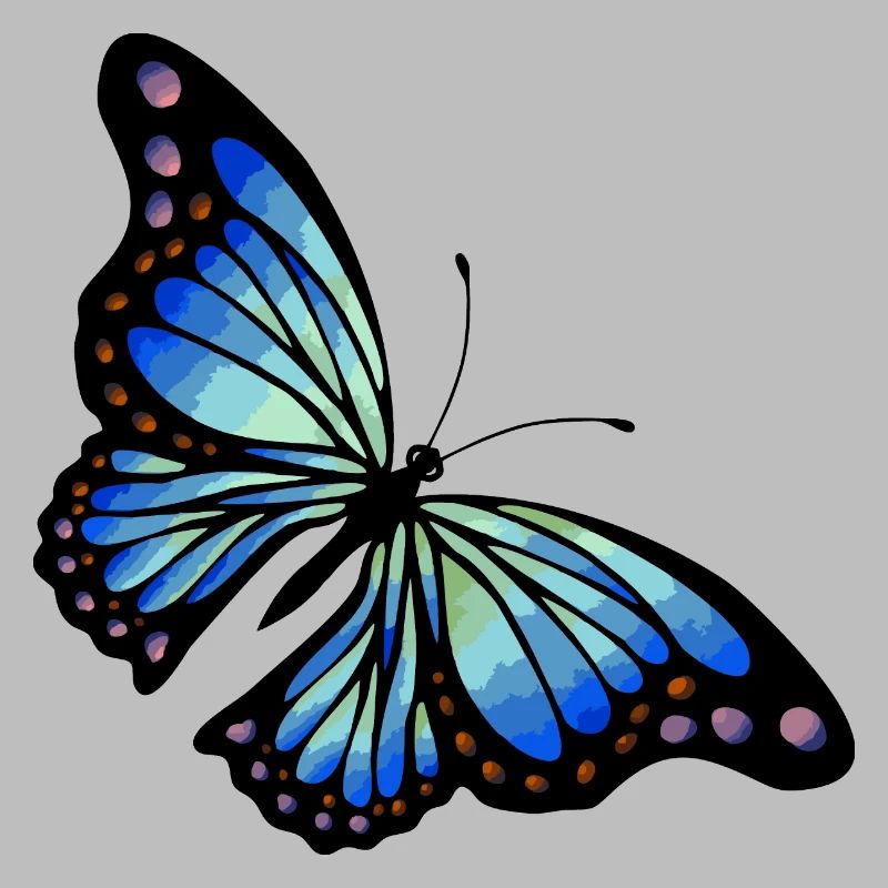 Schmetterling