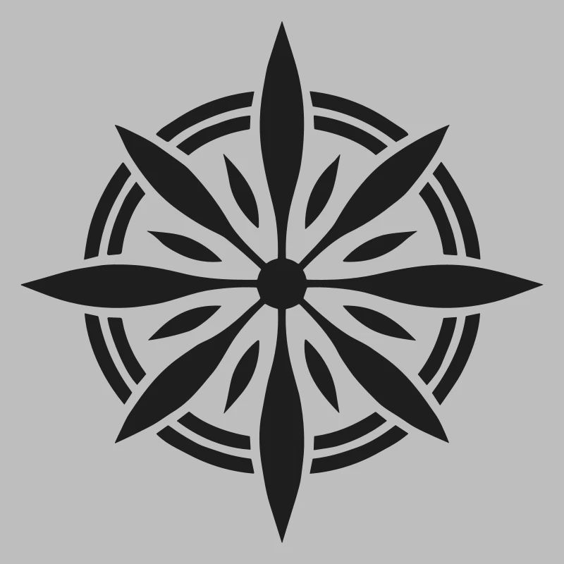 Precision Navigator: Compass