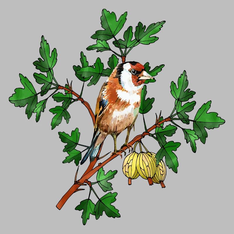 Oiseau coloré
