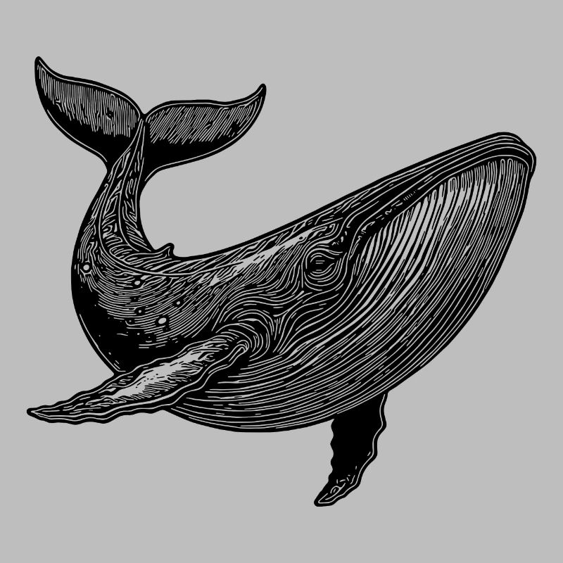 Grande baleine Vintage Massive créature marine