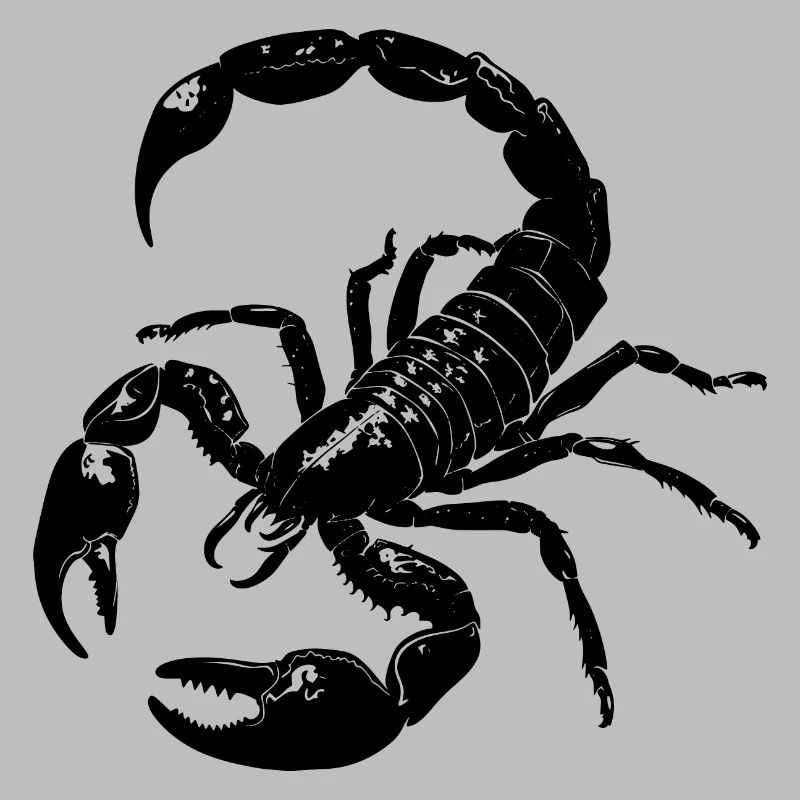 Scorpio, scorpion, gift