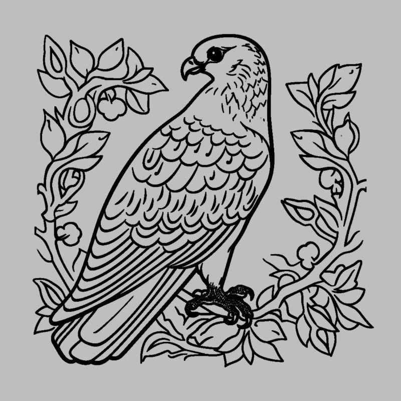 Designer raptor falcon