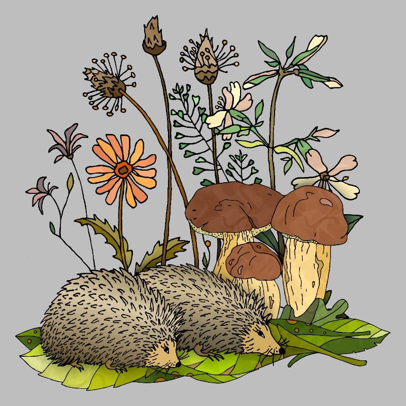 Igel