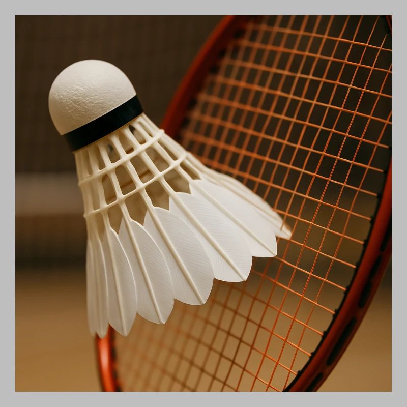Badminton - Ball und Schläger