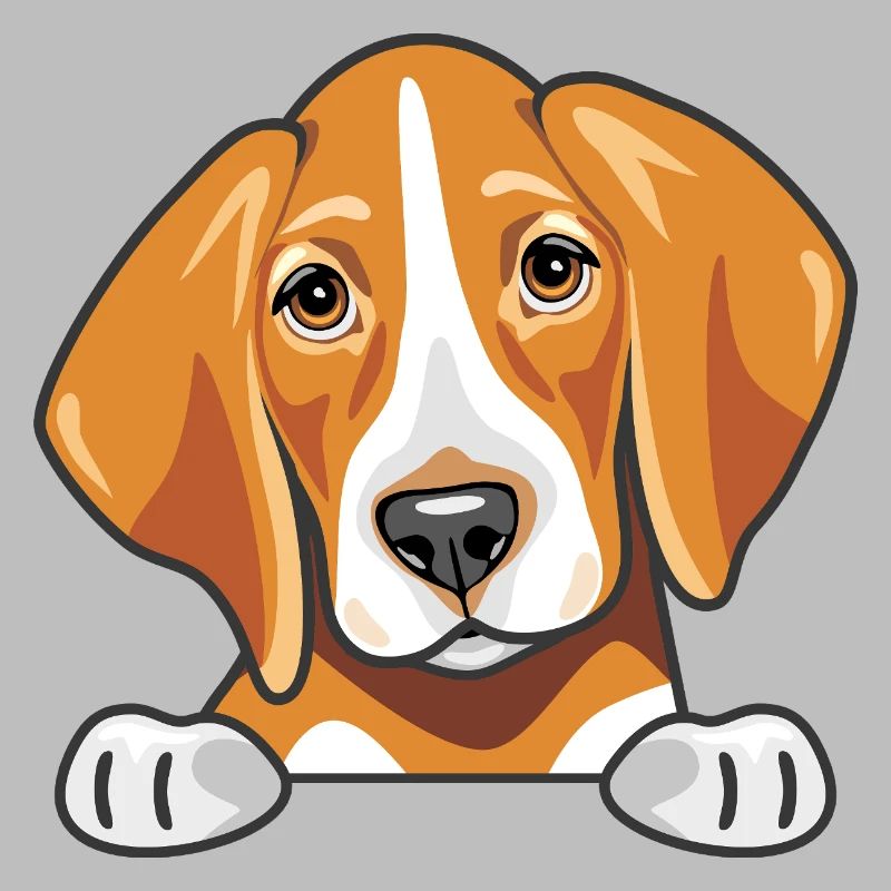 Coup d’œil mignon foxhound triste