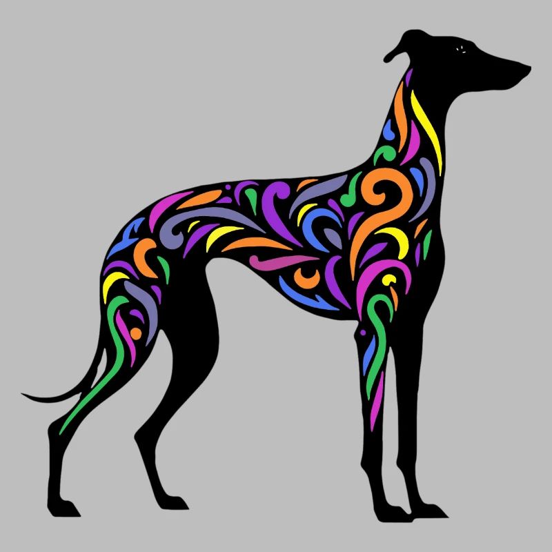 Rainbow Galgo - 20250605