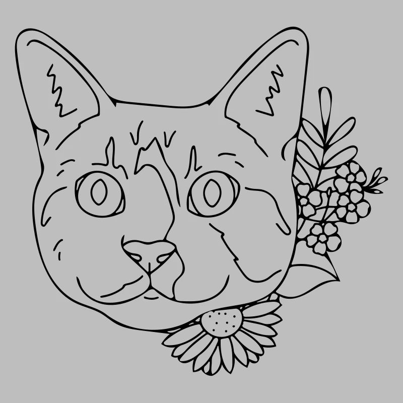 chat