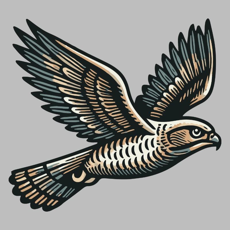 Rapace