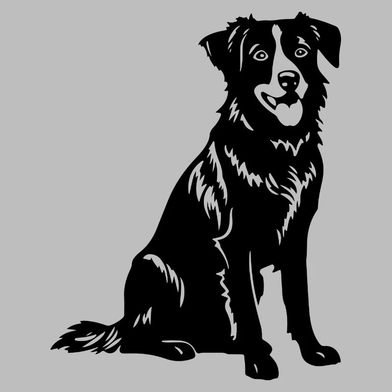 Australian Shepherd Dog
