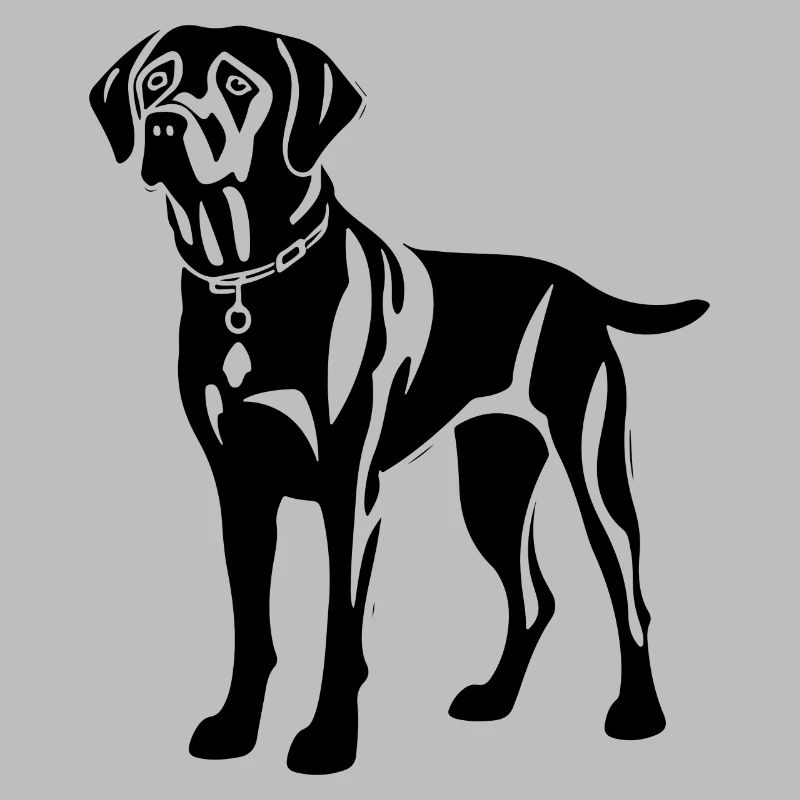 Labrador Dog