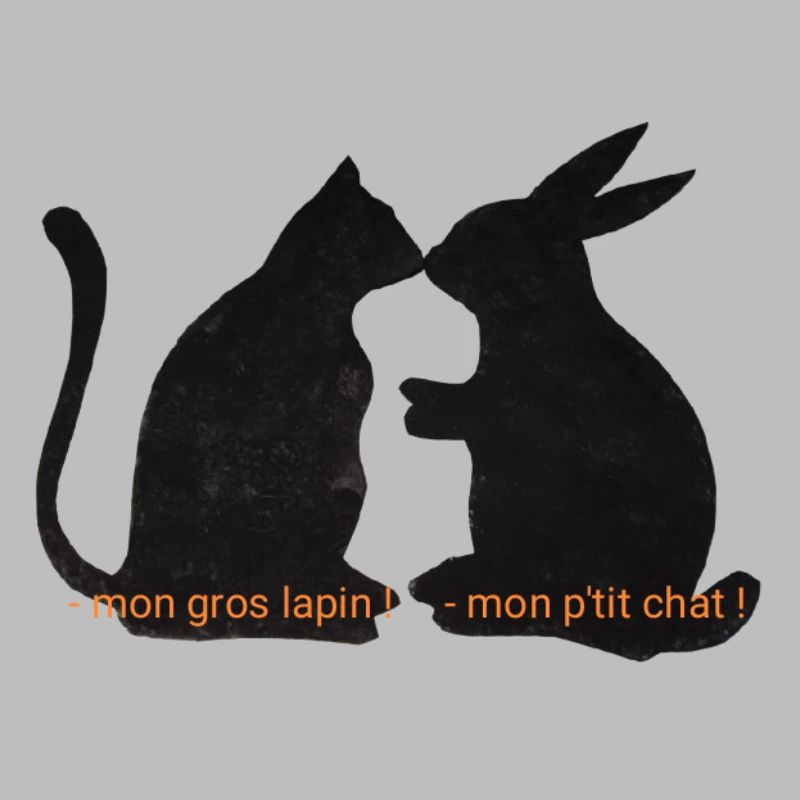 Cat and rabbit friends, romantic relationship