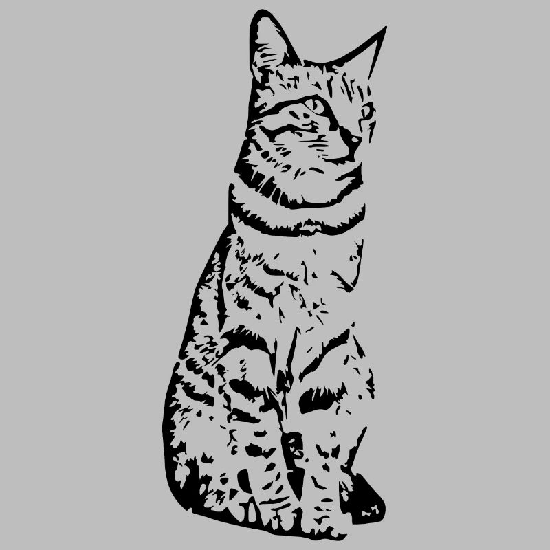 Cat black