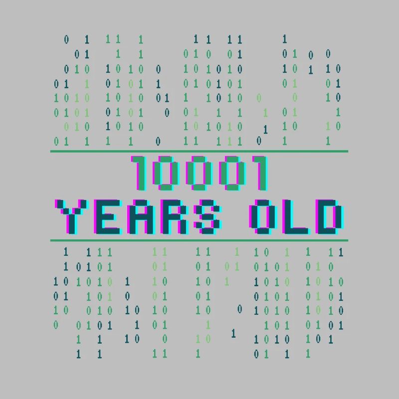 17th birthday 17 years old Binary Code Computer Science