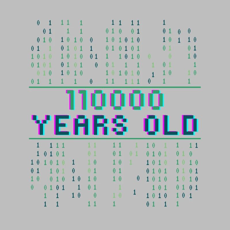48th Birthday 48 years old Binary Code Computer Science
