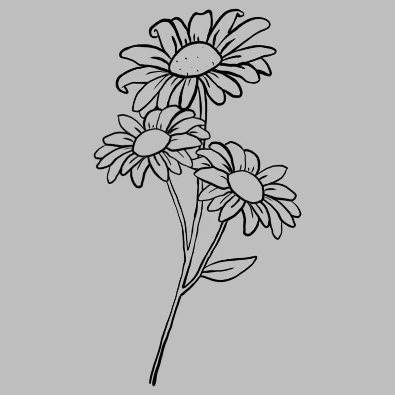 Gänseblümchen / Daisy