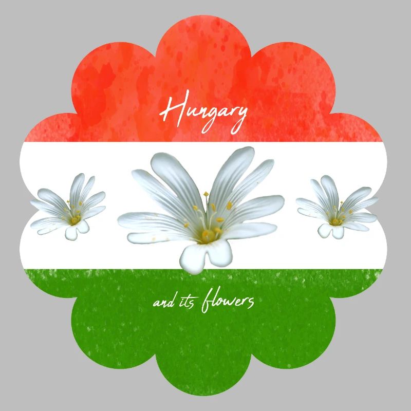 Drapeau de la Hongrie Drapeau hongrois