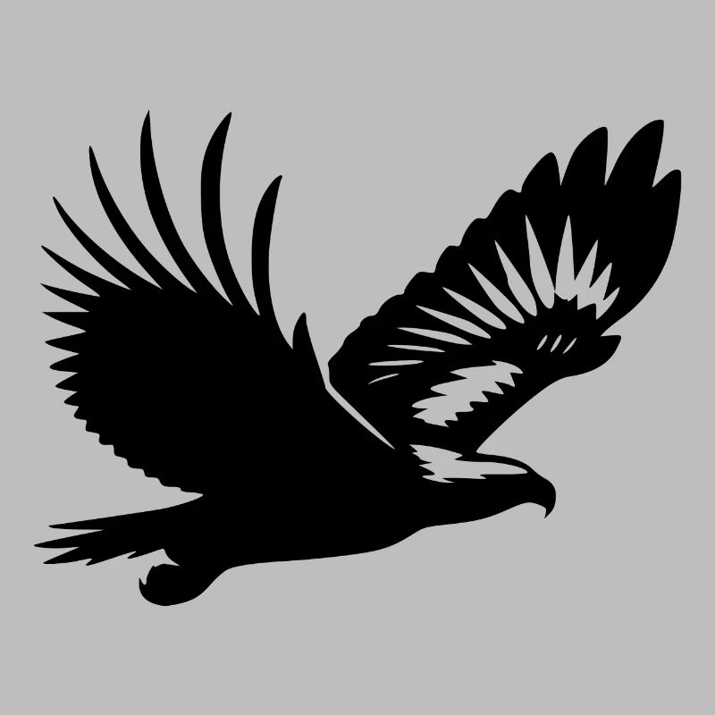 Aigle élégant sur de larges ailes dans le vent