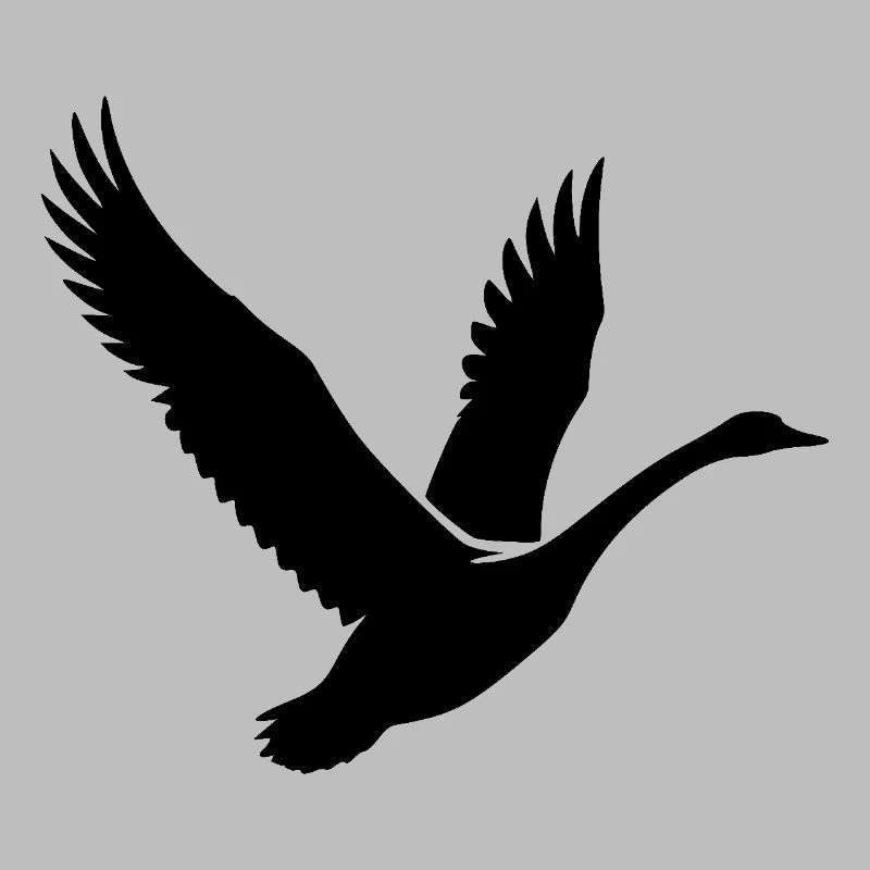 Cygne volant élégant