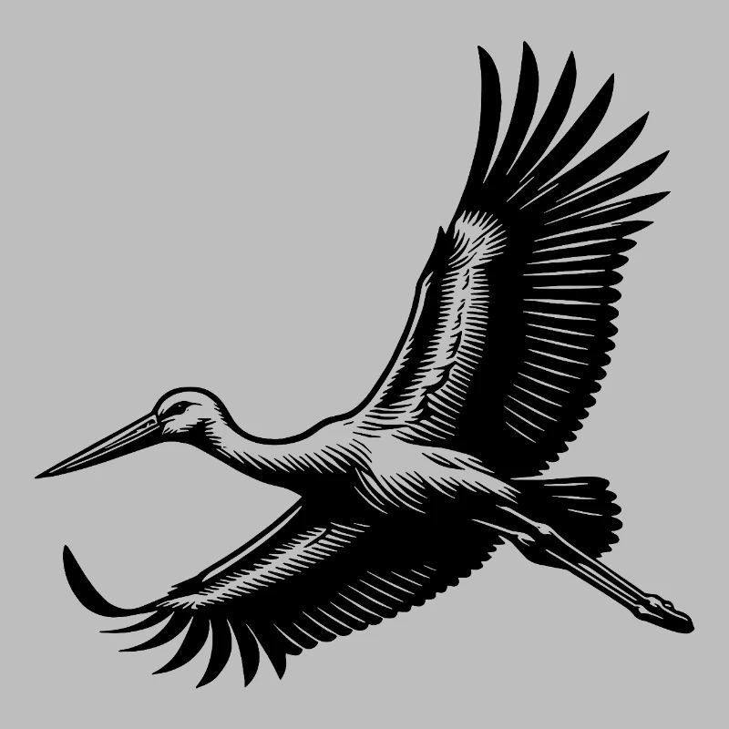 Eleganter Storchen Vogel im Flug