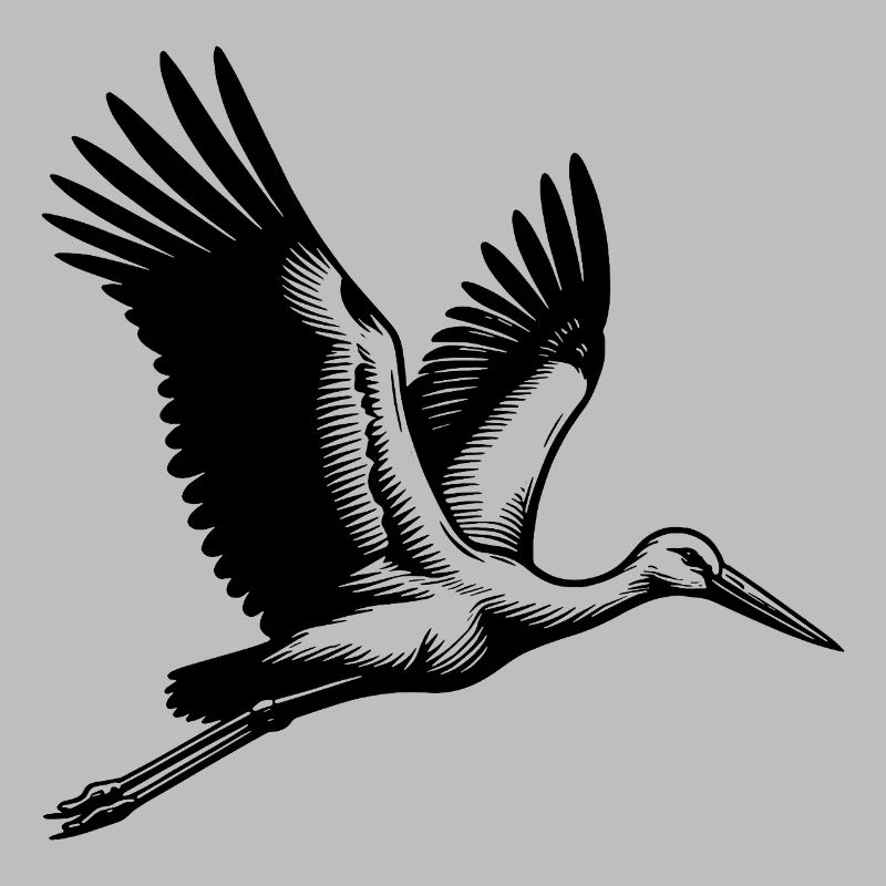 Eleganter fliegender Storchen Vogel