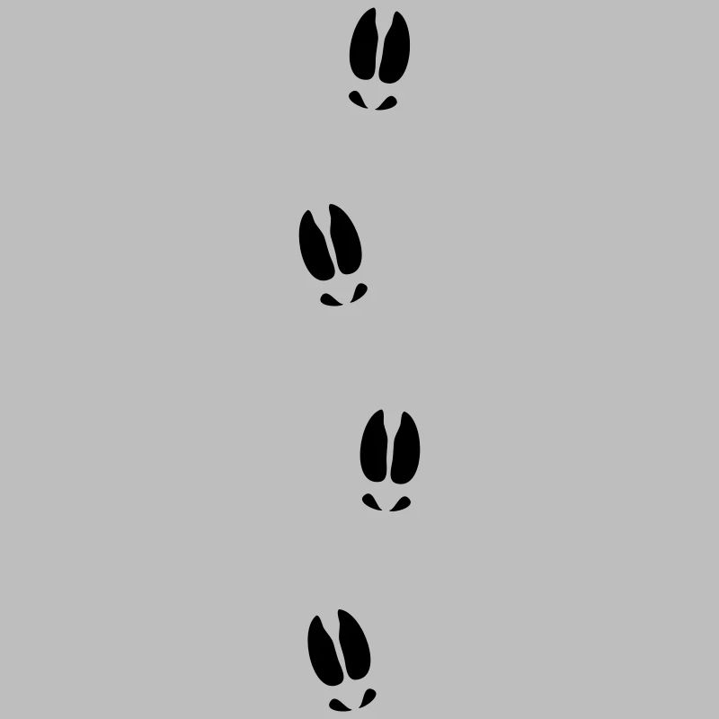 Moose tracks