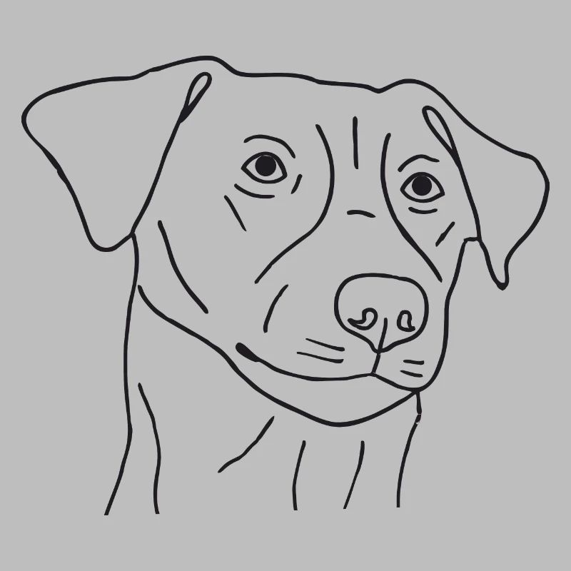 Jack Russell Terrier