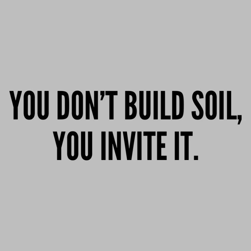 Sol 2