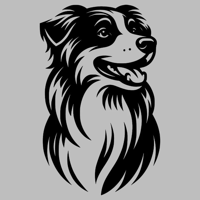 Fuzzy Australian Shepherd Dog Portrait