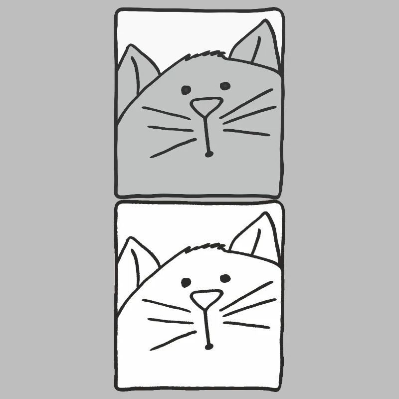 Cat Grey and White