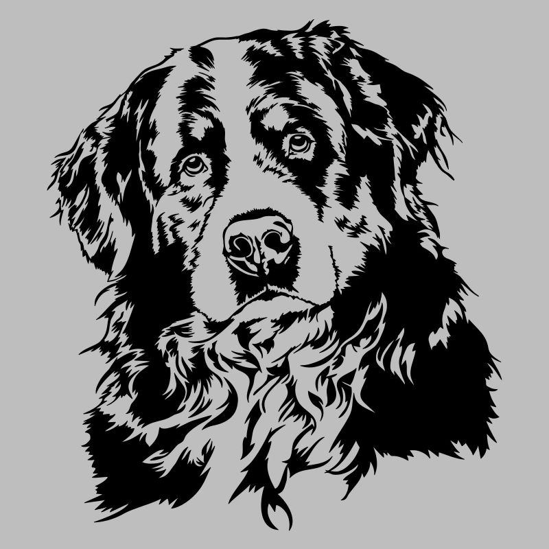 BERNER SENNENHUND Hundeportrait Wilsigns Hunde
