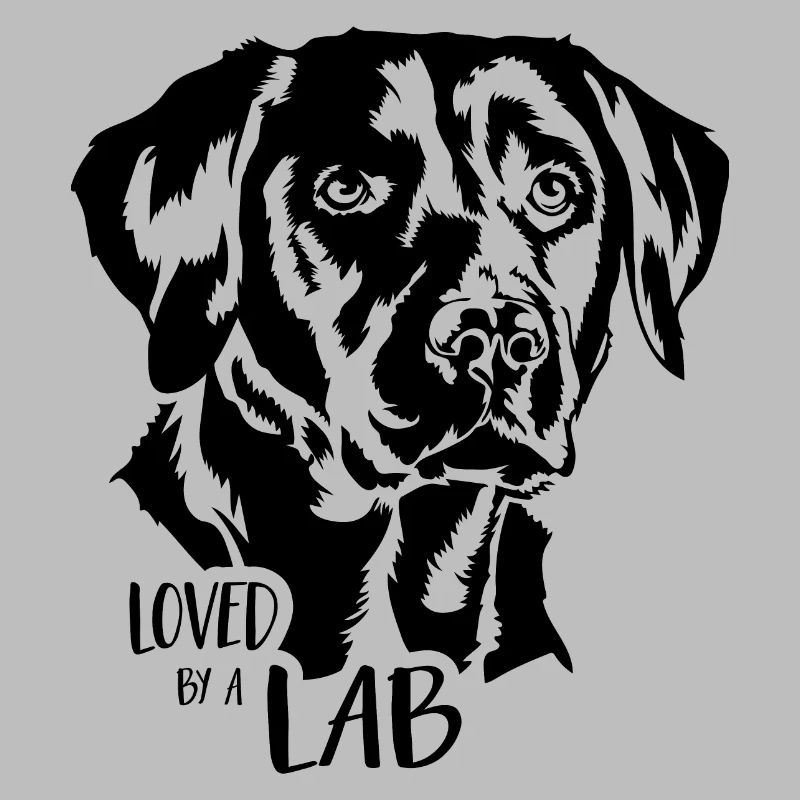 Adoré par un labrador labrador labrador chiens Wilsigns
