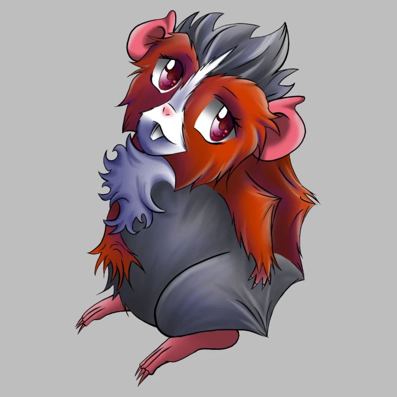 Cochon d’Inde Luise