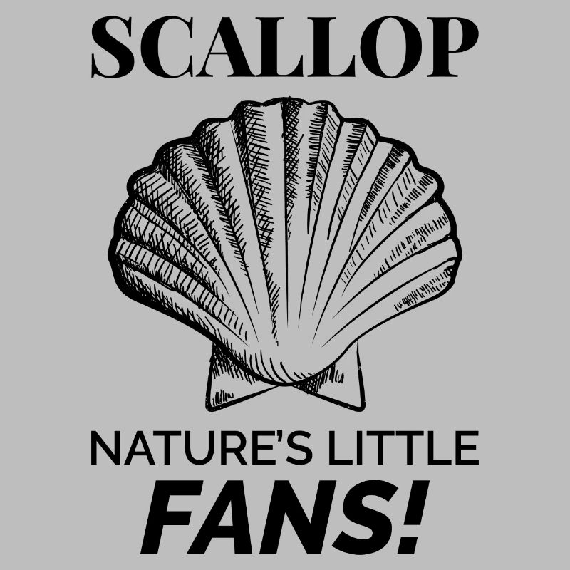 Scallop Seashells Collector Beachcomber Shellfish
