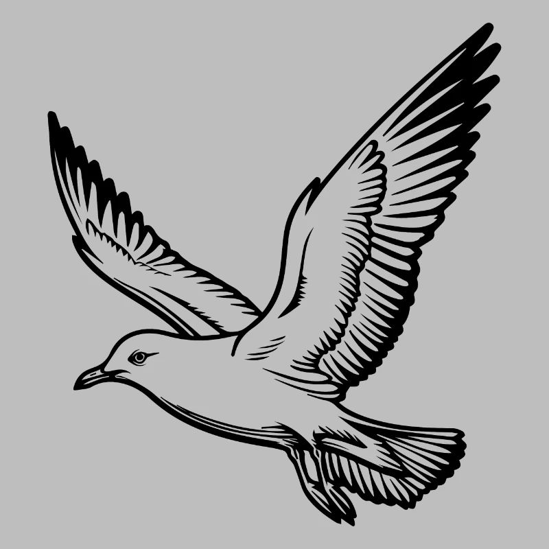 Möwe