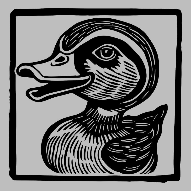 Canards