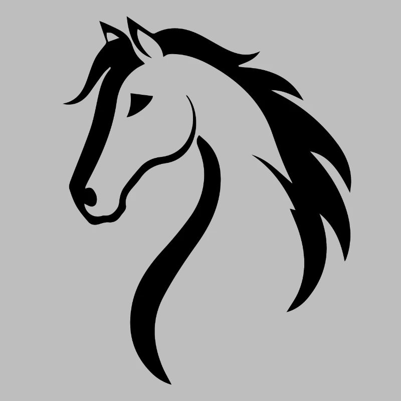 Cheval Chevaux Équitation Cavalier