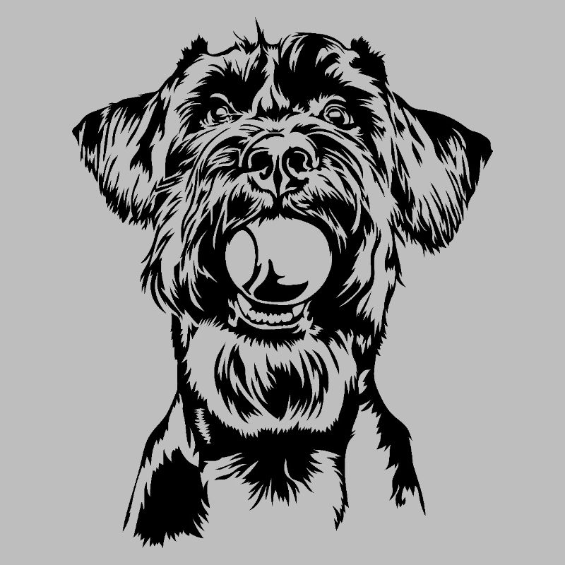 Schnauzer géant Schnauzer chien chien Wilsigns