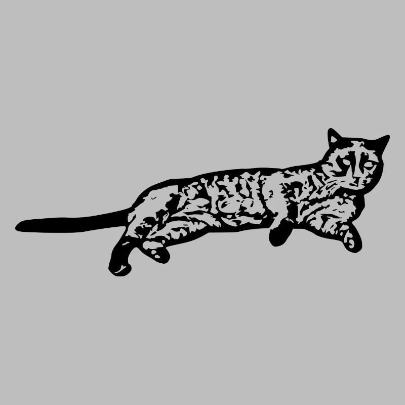 Chat chat noir chaton